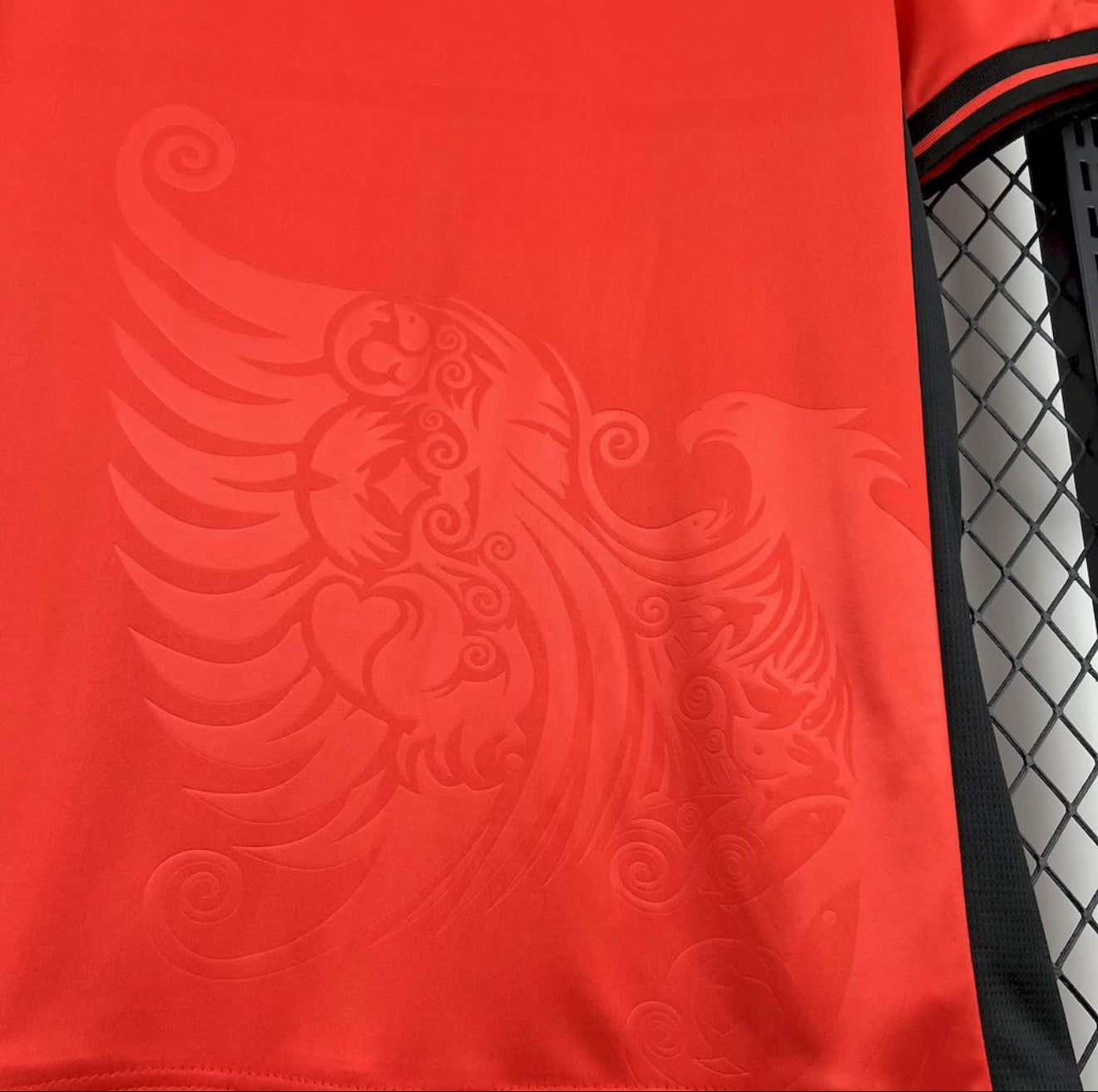 2025 Albania Home Jersey
