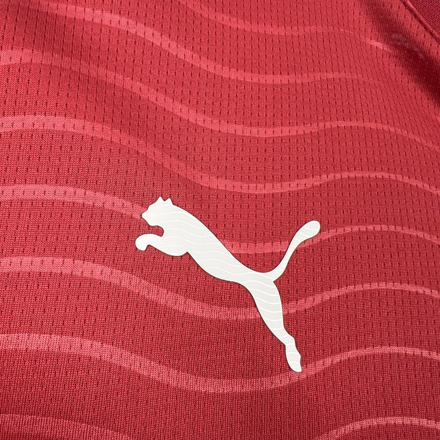 2026 Portugal Home Jersey (Long Sleeve)