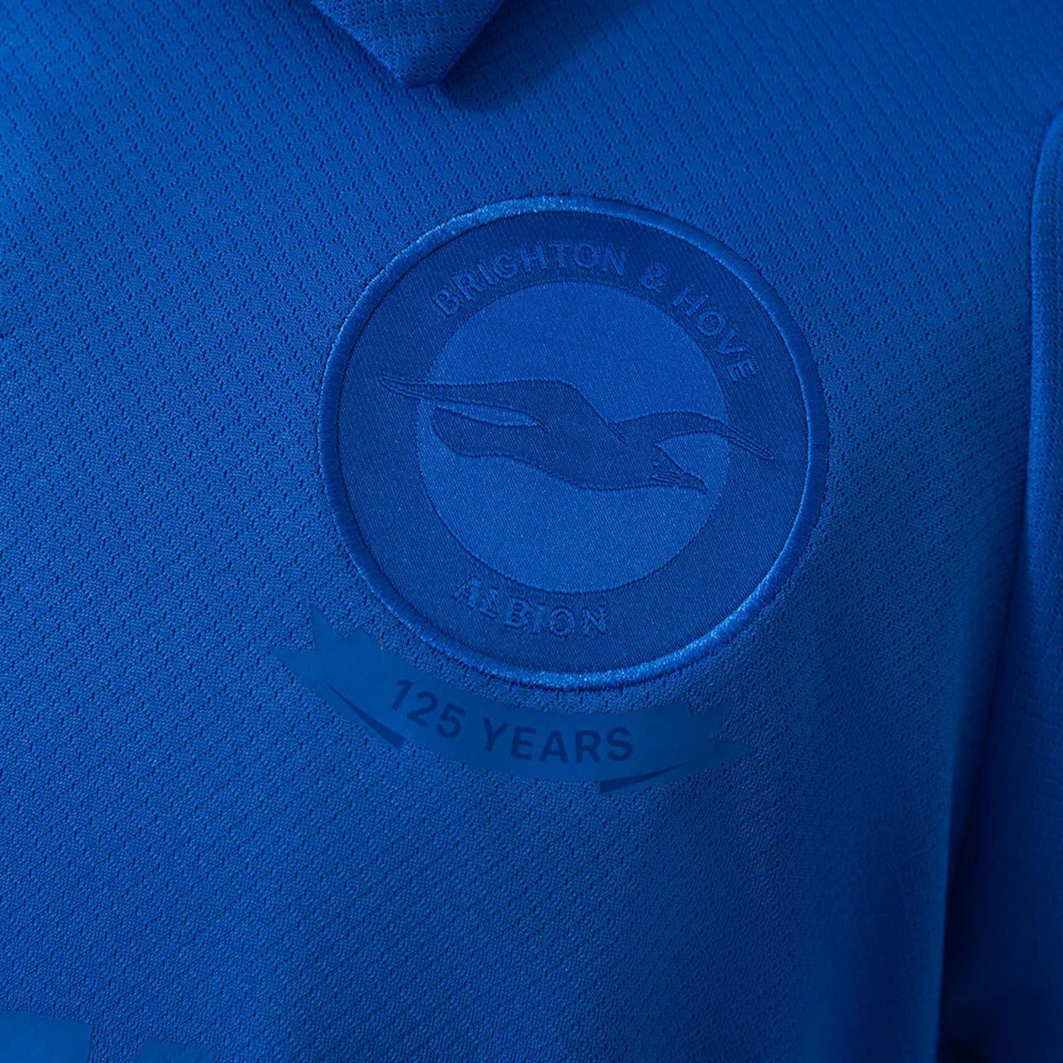 Brighton And Hove Albion 125th Anniversary Jersey