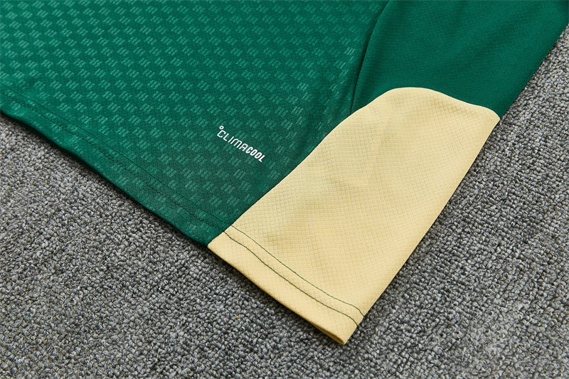 26/27 Real Madrid Green/Gold Shorts Training Set