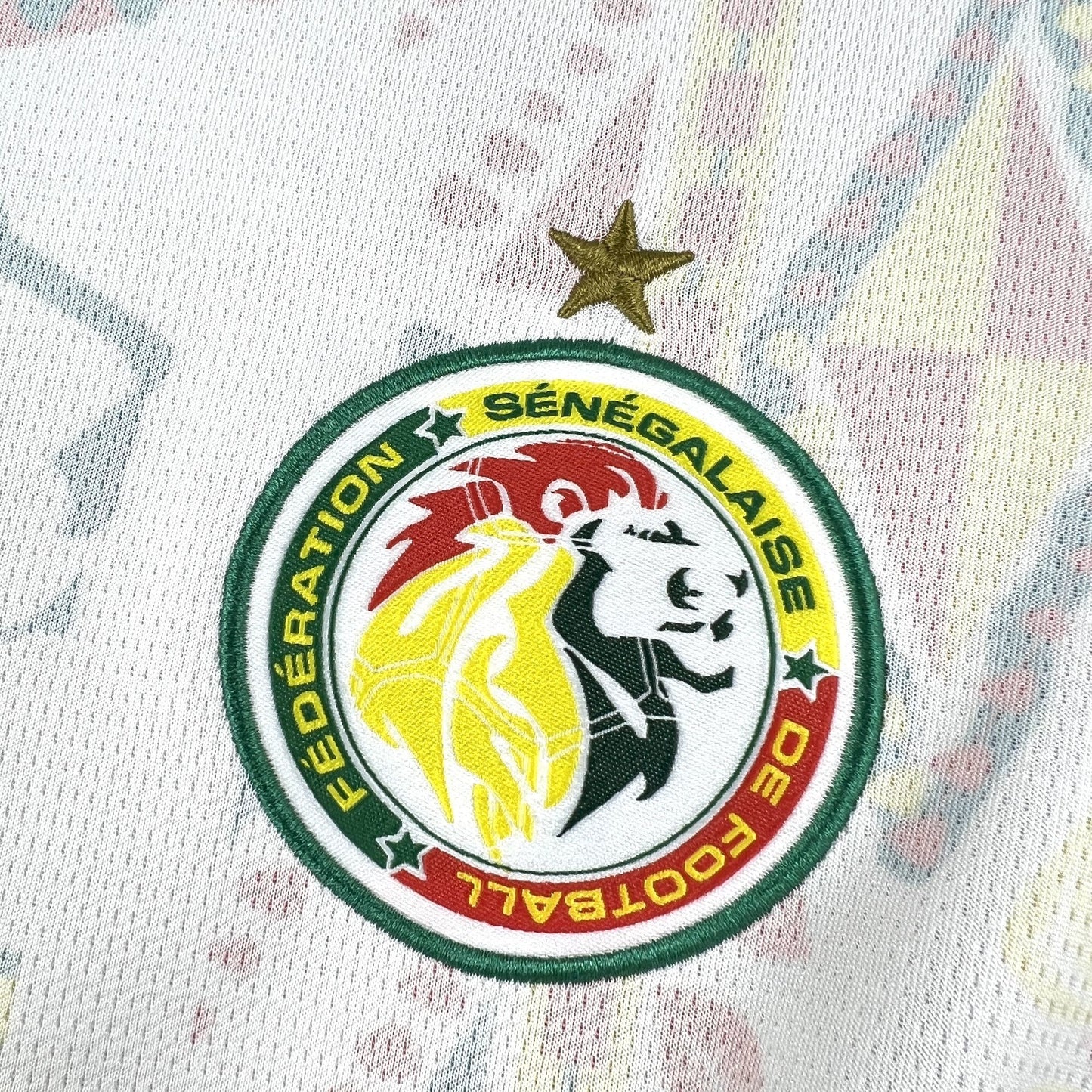 2026 Senegal Away Jersey