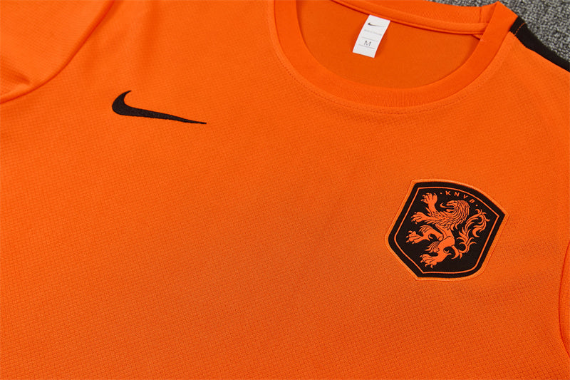 Netherlands Orange/Black Shorts Training Set