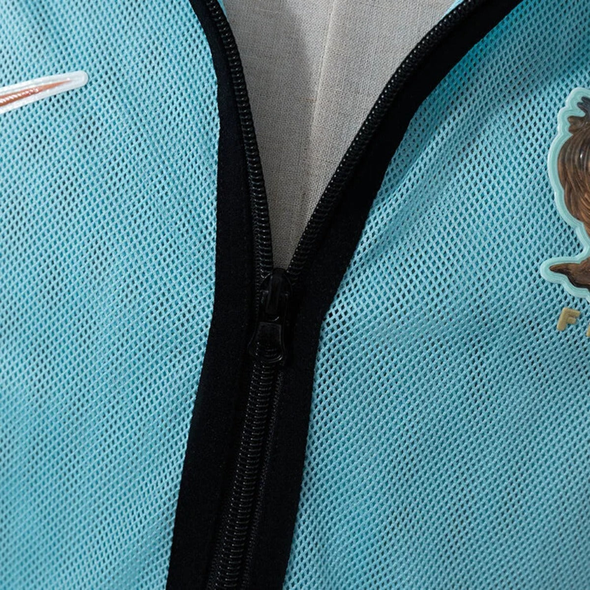 France Light Blue Windbreaker