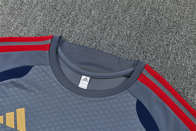 26/27 FC Bayern Munich Grey/Navy Short Training Set