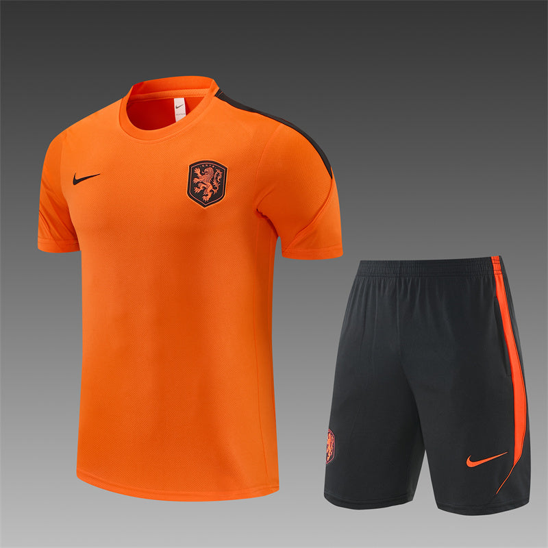 Netherlands Orange/Black Shorts Training Set