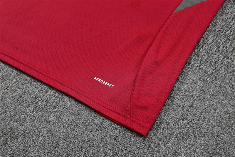 25/26 Arsenal FC Red/Grey Shorts Training Set