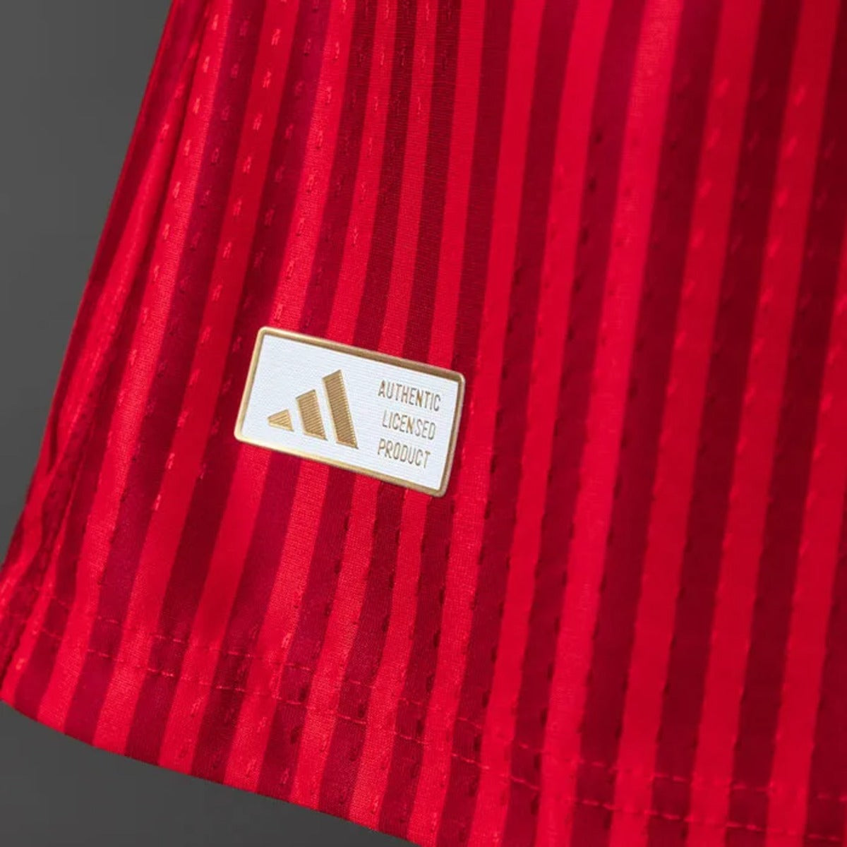 26/27 FC Bayern Munich Home Jersey (Players Version)