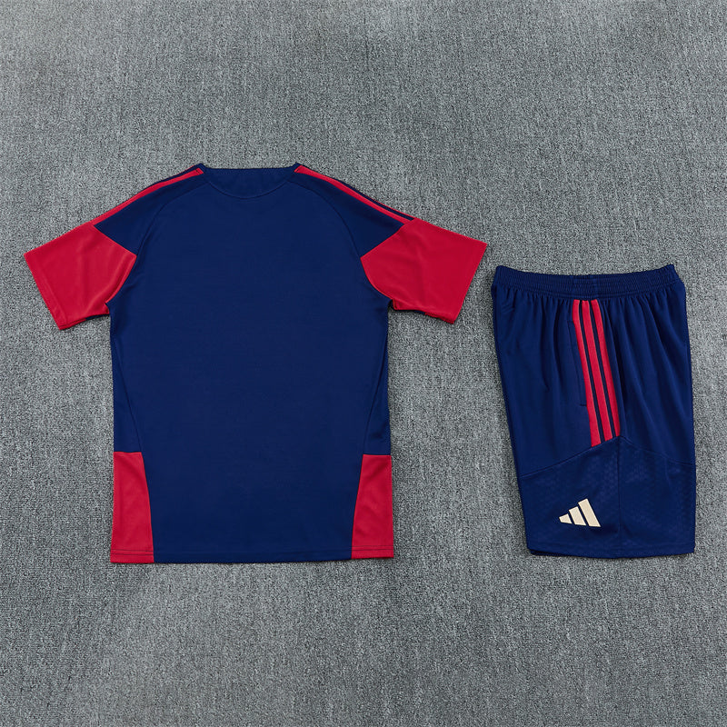 Arsenal Navy And Red Shorts Set