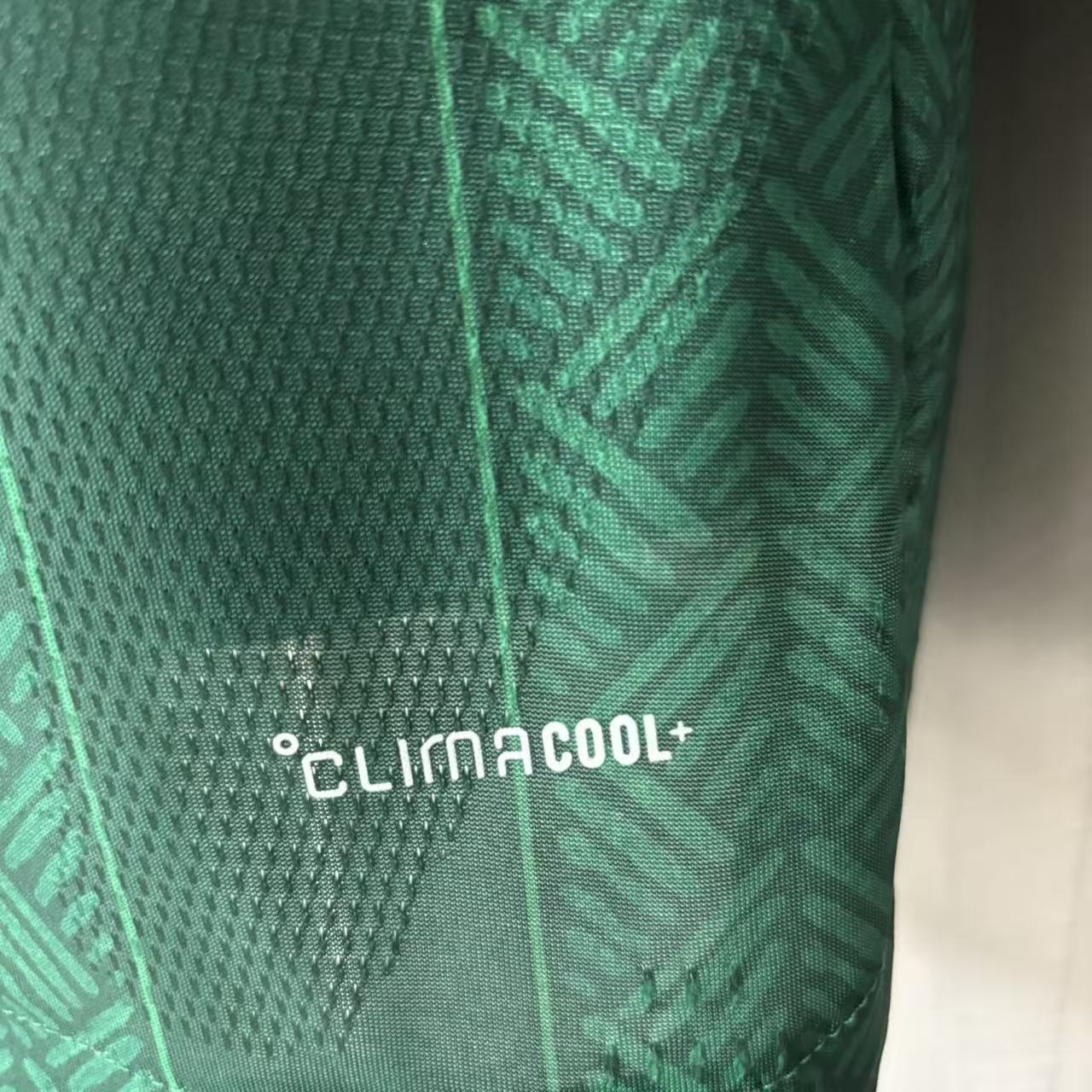 2026 South Africa Away Jersey (Players Version)