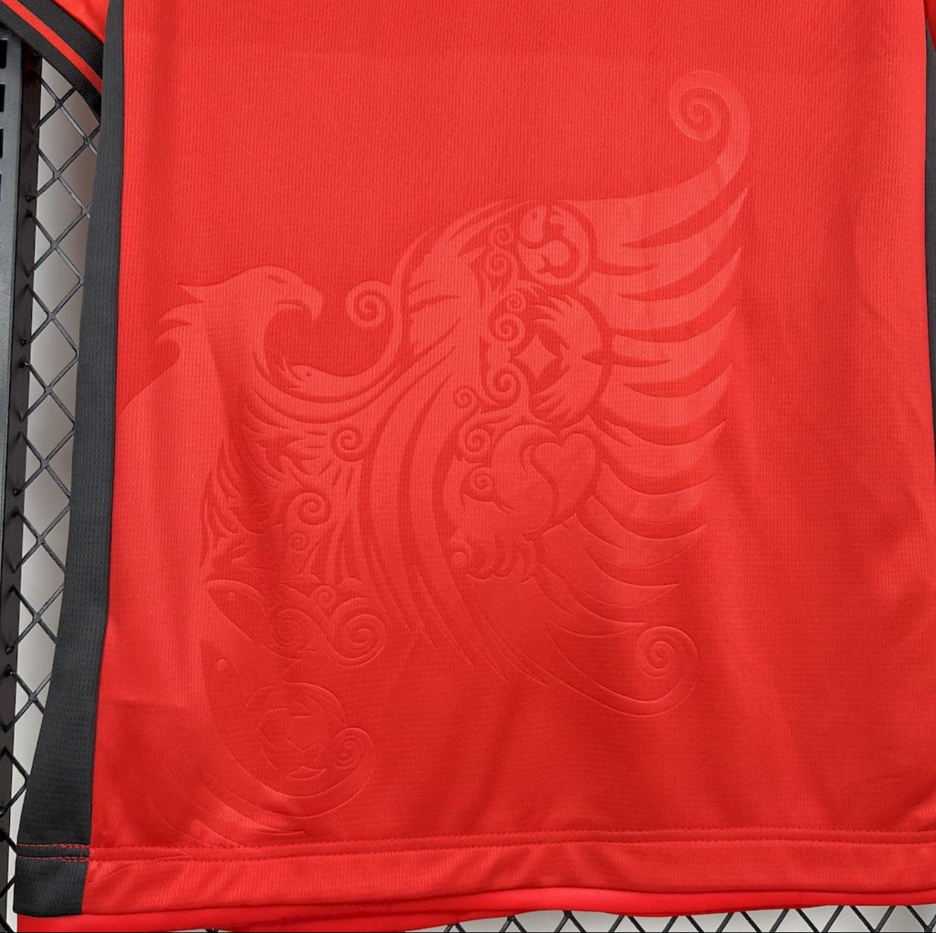 2025 Albania Home Jersey