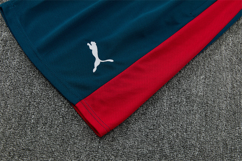 Portugal Dark Green Shorts Training Set