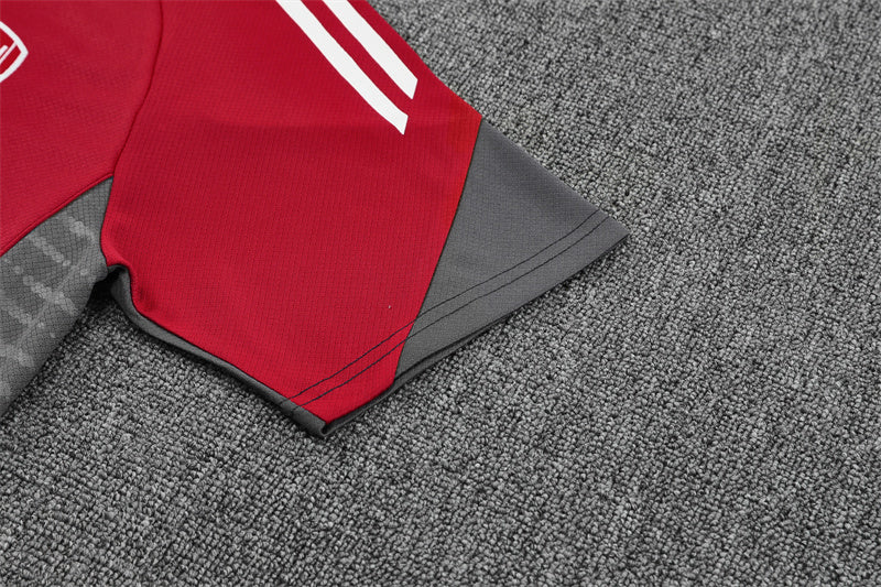 25/26 Arsenal FC Red/Grey Shorts Training Set