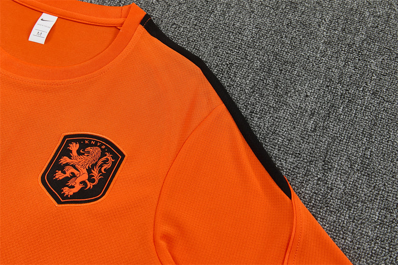 Netherlands Orange/Black Shorts Training Set