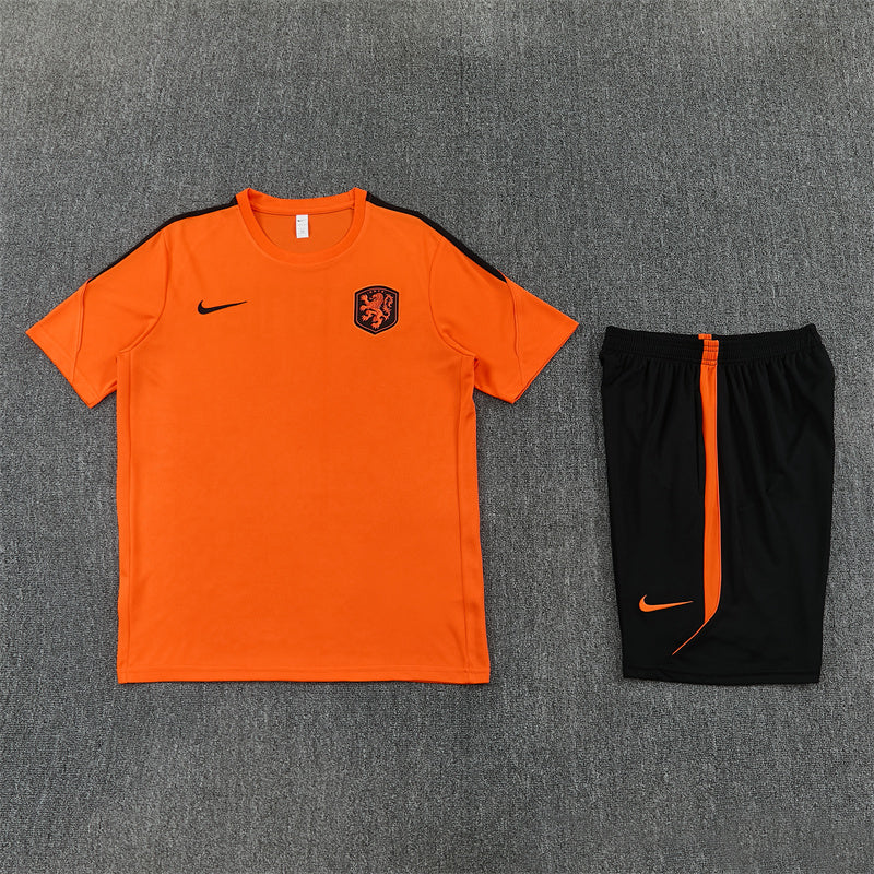 Netherlands Orange/Black Shorts Training Set