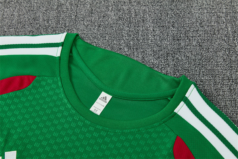 Algeria Green Shorts Training Set