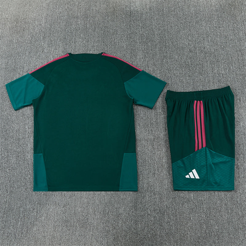 26/27 Real Madrid Green/Pink Shorts Training Set